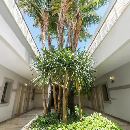 Babana 2* Golturkbuku