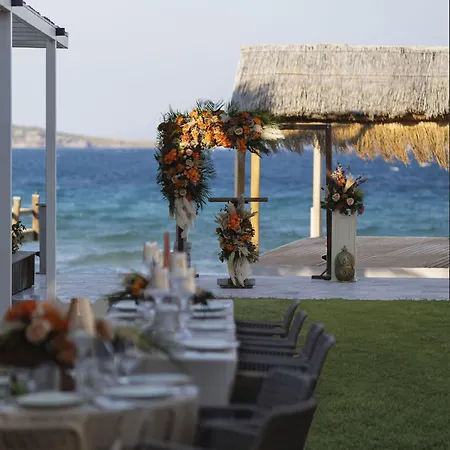 Babana 2* غولتوركبوكو