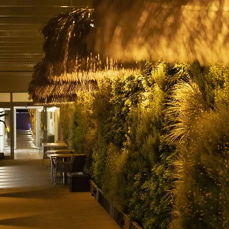 Babana 2* غولتوركبوكو