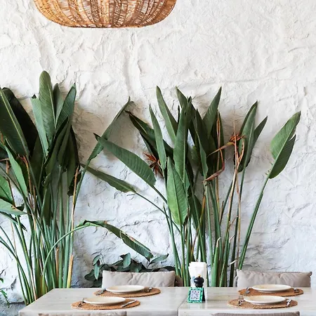 Hotel Babana Türkbükü