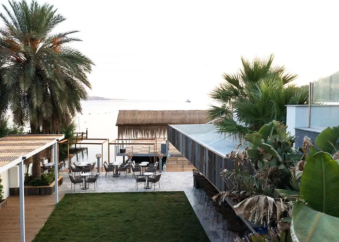 Babana 2* Golturkbuku